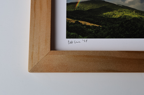Classic Black Wood Frame Example