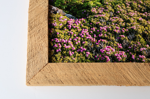 Classic Black Wood Frame Example